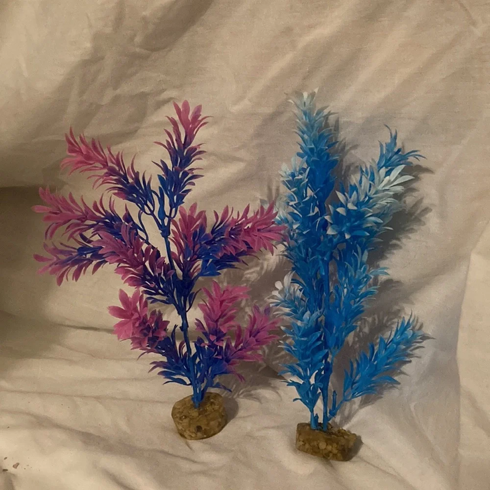 Pink and blue aquarium plants